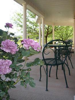 Novel House Inn At Zion Springdale Εξωτερικό φωτογραφία